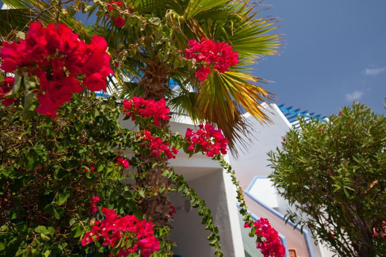 Grupotel Cinco Plazas Appartement Puerto del Carmen (Lanzarote)